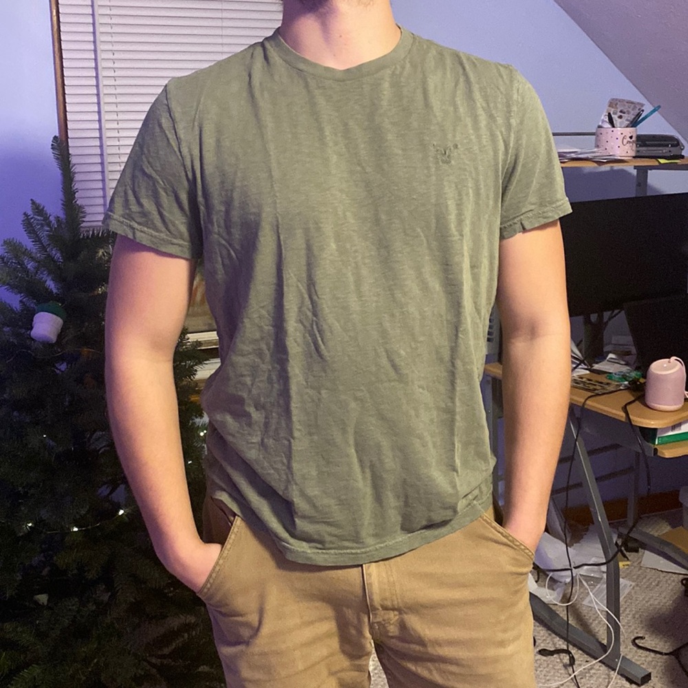 American Eagle Mens Tshirt Large in Moss Green